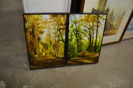 (n-6627) Kokkuvolditav suurem loodusmaal