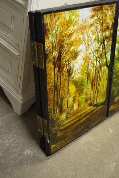 (n-6627) Kokkuvolditav suurem loodusmaal