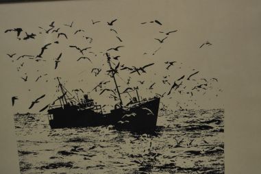 (P-1028) Kalalaev kajakatega - 14/50 nummerdatud tõmmis