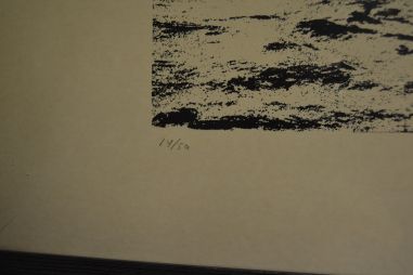 (P-1028) Kalalaev kajakatega - 14/50 nummerdatud tõmmis