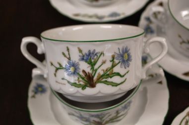 (n-6740/1) Bavaria Eschenbach, taimedaga puljongikausid-taldrikud, 6tk