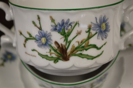 (n-6740/1) Bavaria Eschenbach, taimedaga puljongikausid-taldrikud, 6tk