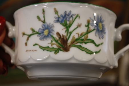 (n-6740/1) Bavaria Eschenbach, taimedaga puljongikausid-taldrikud, 6tk