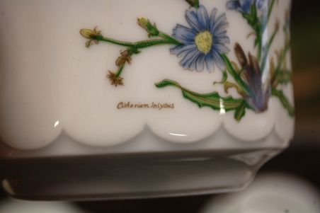 (n-6740/1) Bavaria Eschenbach, taimedaga puljongikausid-taldrikud, 6tk