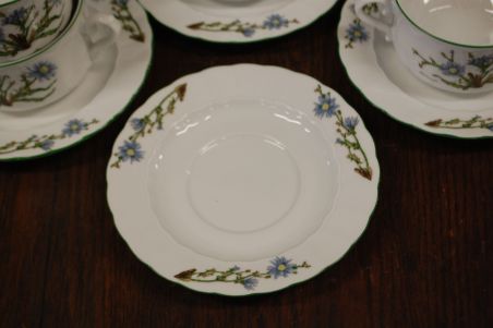 (n-6740/1) Bavaria Eschenbach, taimedaga puljongikausid-taldrikud, 6tk