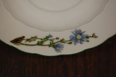 (n-6740/1) Bavaria Eschenbach, taimedaga puljongikausid-taldrikud, 6tk