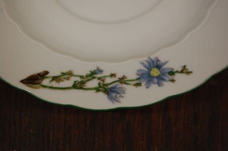 (n-6740/1) Bavaria Eschenbach, taimedaga puljongikausid-taldrikud, 6tk