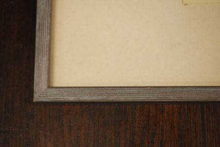 (P-1055) Viiralt, trükirepro Puuma ja panter