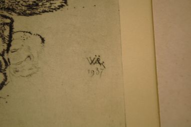 (P-1055) Viiralt, trükirepro Puuma ja panter