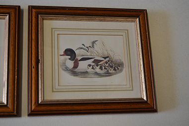 (n-6824) Partidega pildid 2 tk , Wales