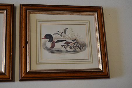 (n-6824) Partidega pildid 2 tk , Wales