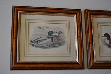 (n-6824) Partidega pildid 2 tk , Wales