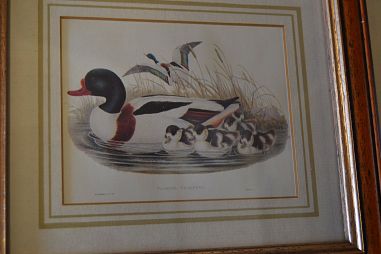 (n-6824) Partidega pildid 2 tk , Wales