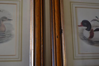 (n-6824) Partidega pildid 2 tk , Wales