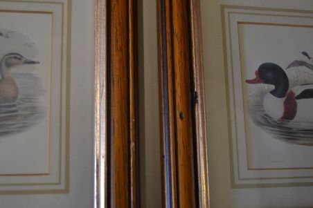 (n-6824) Partidega pildid 2 tk , Wales