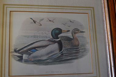 (n-6824) Partidega pildid 2 tk , Wales