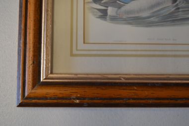 (n-6824) Partidega pildid 2 tk , Wales