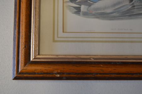 (n-6824) Partidega pildid 2 tk , Wales