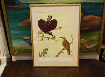 (n-6847/1) Neville H. P.Cayley trükirepro "Linnud"