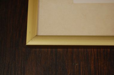 (n-6847/1) Neville H. P.Cayley trükirepro "Linnud"