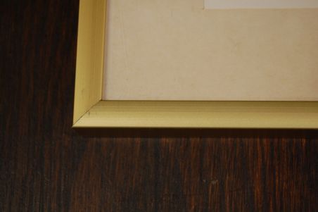 (n-6847/1) Neville H. P.Cayley trükirepro "Linnud"