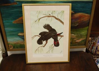 (n-6847/2) Neville H. P.Cayley trükirepro "Linnud"