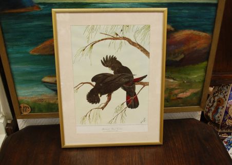 (n-6847/2) Neville H. P.Cayley trükirepro "Linnud"