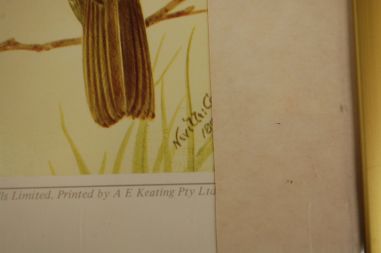 (n-6847/1) Neville H. P.Cayley trükirepro "Linnud"