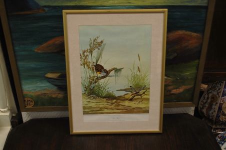 (n-6847/3) Neville H. P.Cayley, trükirepro "Linnud"