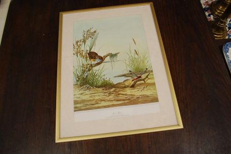 (n-6847/3) Neville H. P.Cayley, trükirepro "Linnud"