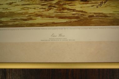 (n-6847/3) Neville H. P.Cayley, trükirepro "Linnud"