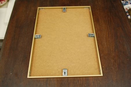 (n-6847/3) Neville H. P.Cayley, trükirepro "Linnud"