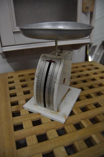 (n-6862) Lauakaal GITTE Taanist 2