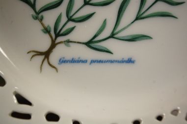 (n-6970/5) Schumann Arzberg Echt Cobalt, Kai Beckman, kollektsioontaldrik nr.9 "Taimed"