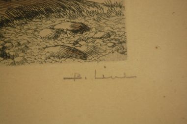 (n-7001) Raamitud graafika