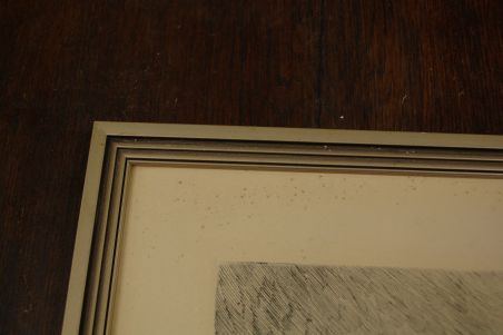 (n-7001) Raamitud graafika