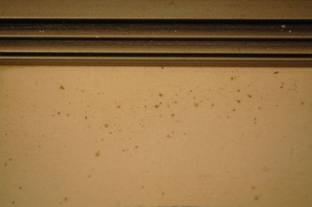 (n-7001) Raamitud graafika