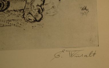 (P-1055) Viiralt, trükirepro Puuma ja panter