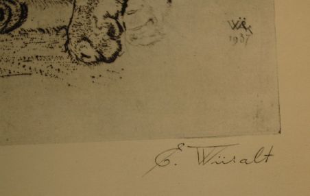 (P-1055) Viiralt, trükirepro Puuma ja panter