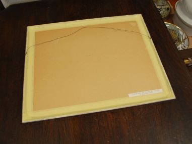 (P-1055) Viiralt, trükirepro Puuma ja panter