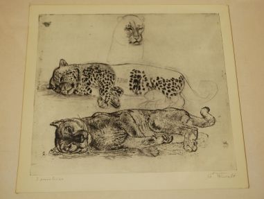 (P-1055) Viiralt, trükirepro Puuma ja panter