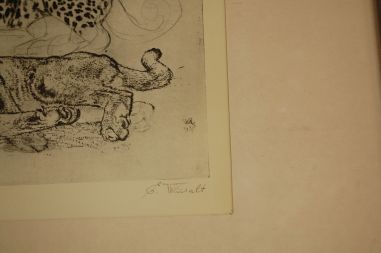 (P-1055) Viiralt, trükirepro Puuma ja panter