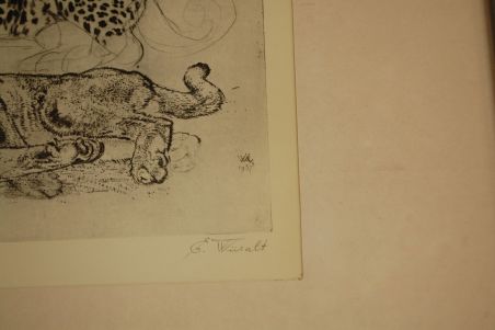 (P-1055) Viiralt, trükirepro Puuma ja panter