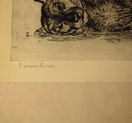 (P-1055) Viiralt, trükirepro Puuma ja panter