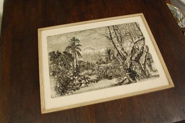 (P-1067) Viiralt, trükirepro Marrakechi maastik