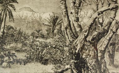 (P-1067) Viiralt, trükirepro Marrakechi maastik