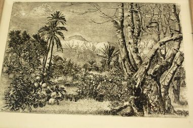 (P-1067) Viiralt, trükirepro Marrakechi maastik