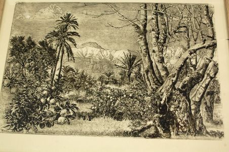 (P-1067) Viiralt, trükirepro Marrakechi maastik