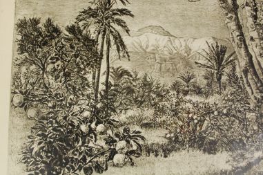 (P-1067) Viiralt, trükirepro Marrakechi maastik