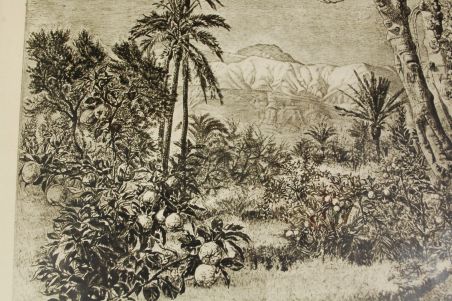 (P-1067) Viiralt, trükirepro Marrakechi maastik